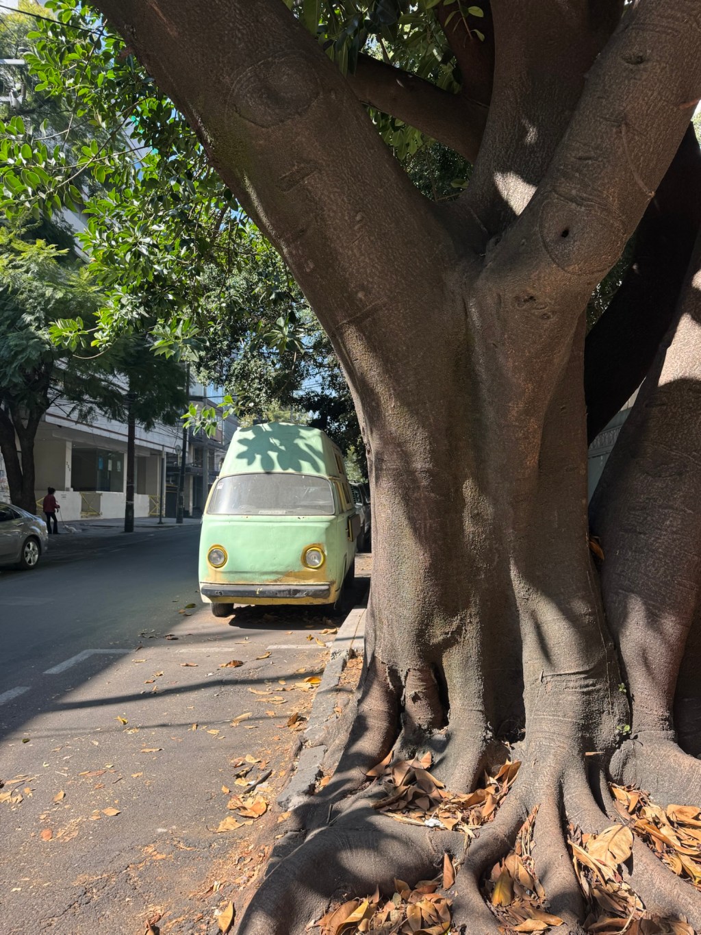 SALCHICHAS IN THE&nbsp;CITY